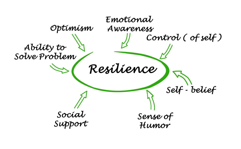 Help Your Students Improve Their Emotional And Academic Resilience - EDBlog