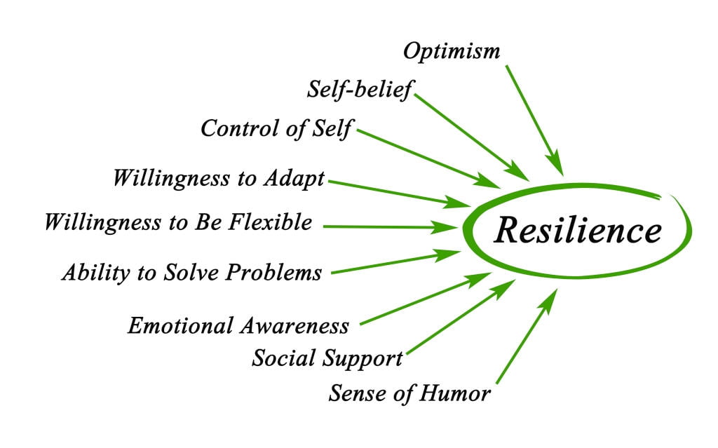 resilience the concept a literature review and future directions